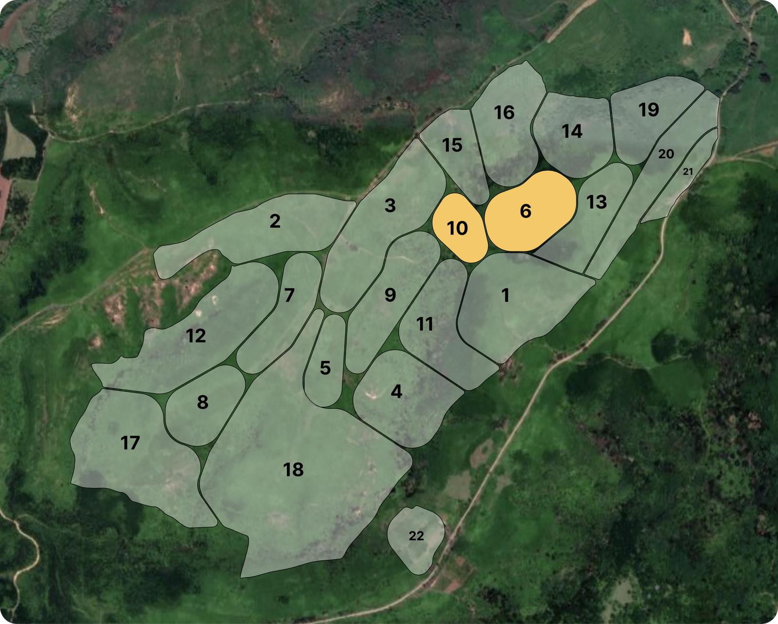 Teanium GTC plantation outline
