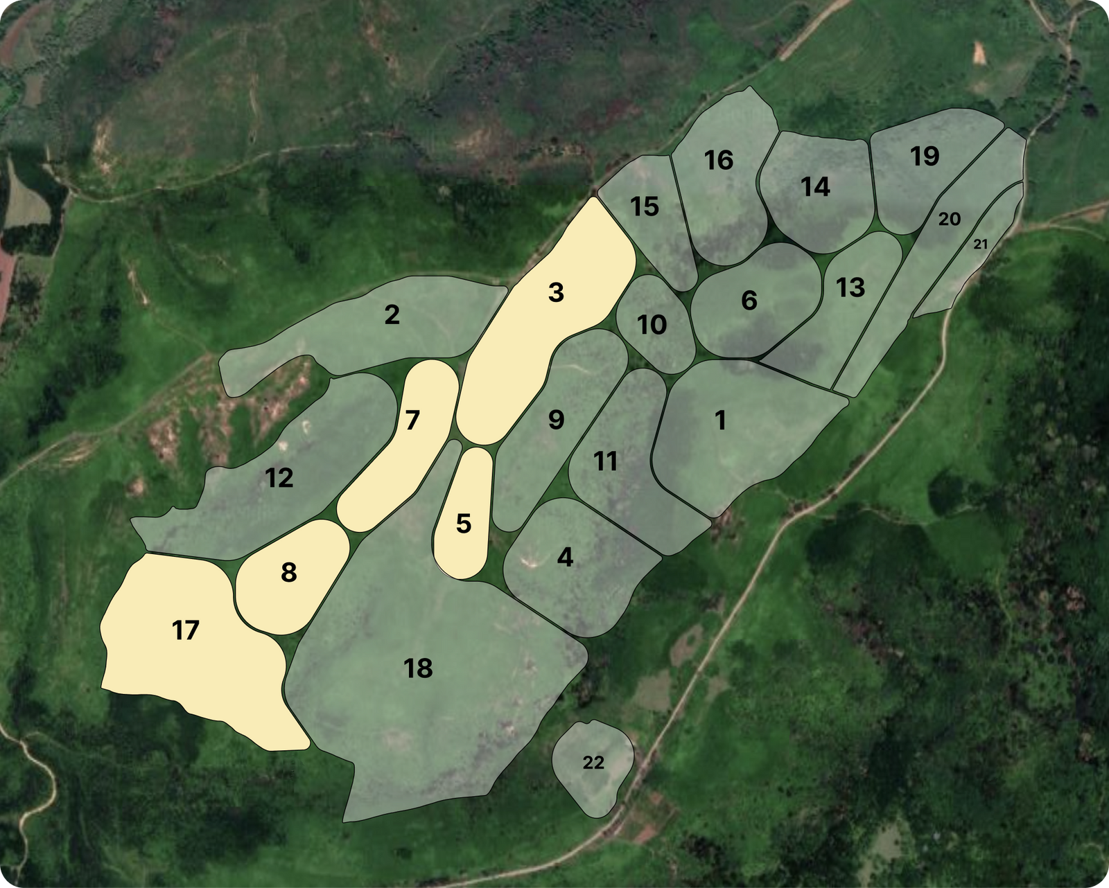 Teanium GTC plantation outline