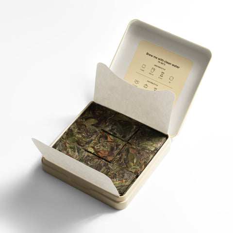 Open Teanium tin pocket box with 27 pressed tea cubes of TOVLA Georgian White tea and brewing guide